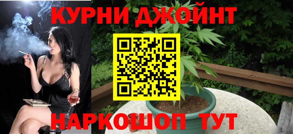Конопля сатива Медногорск